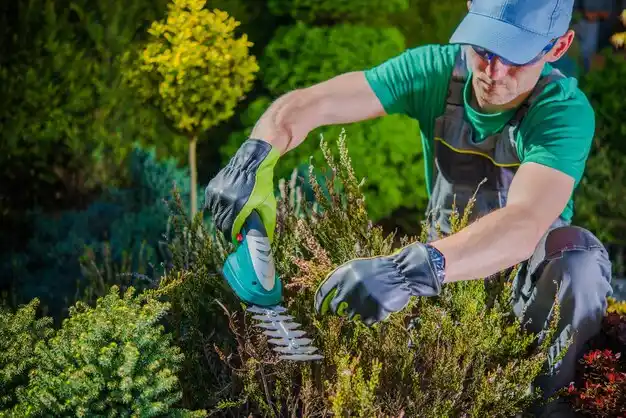 landscaping services Iron River